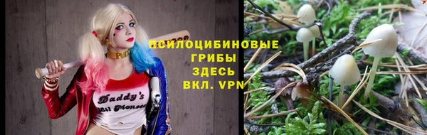 мескалин Алексин